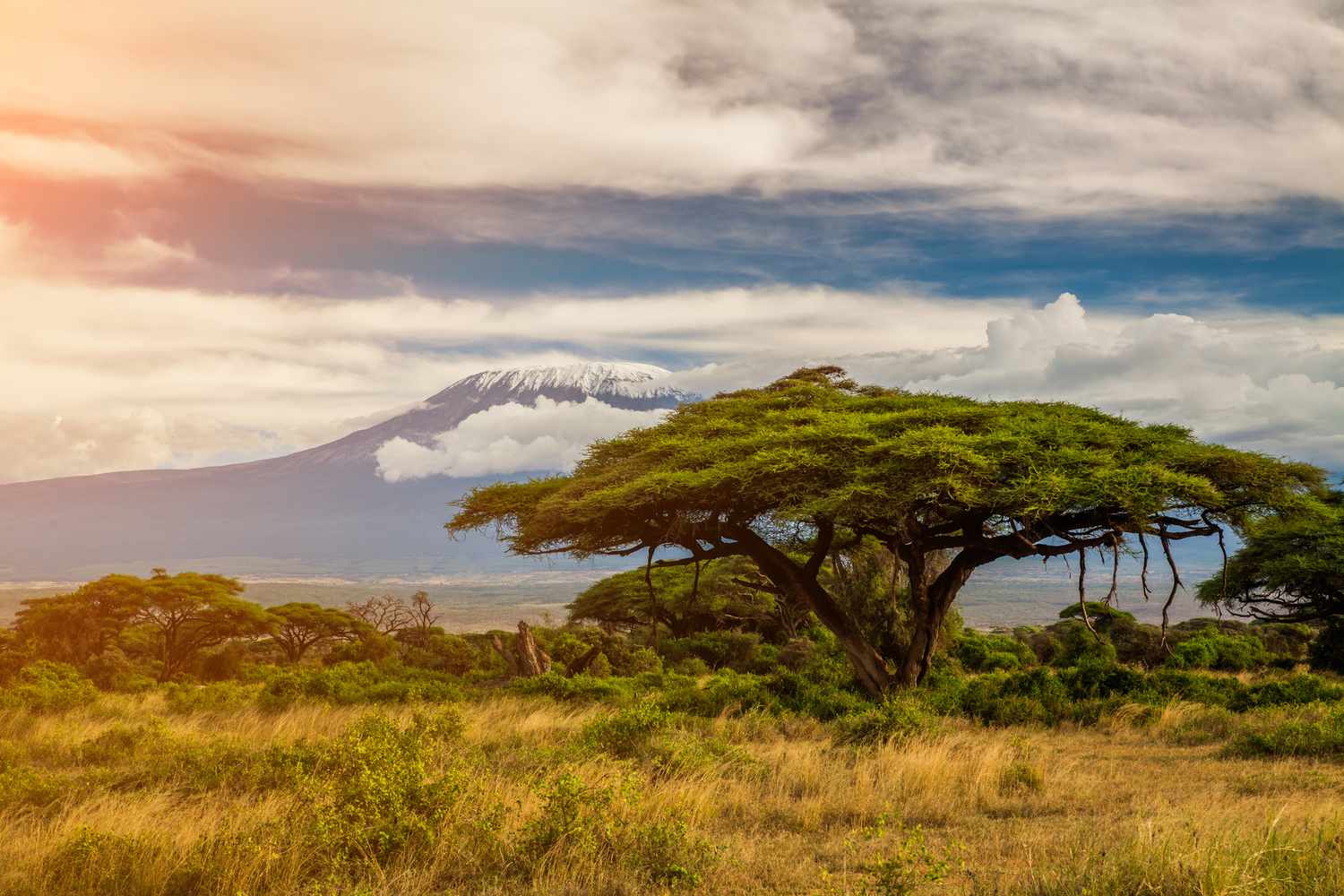 Africa’s Climate Finance Is the World’s Survival Fund