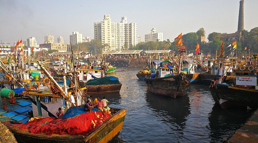 Maharashtra Joins Hands with Finland to Transform Mumbai’s Historic Sassoon Dock