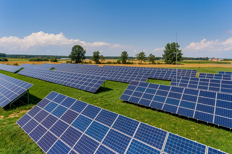 Subsidiaries of IPO-Bound Rays Power Infra Secure ₹1,350 Crore Investment from A.P. Moller Capital