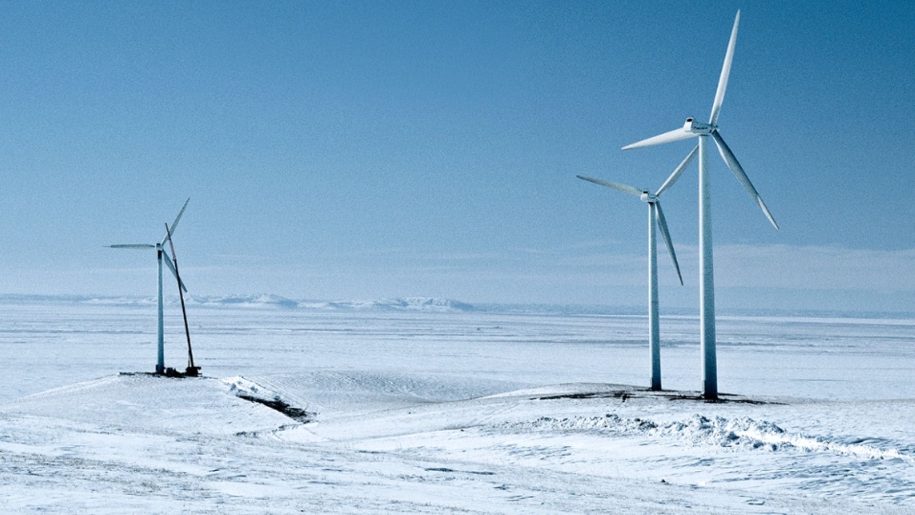 India becomes largest wind market outside China in 2025: BNEF