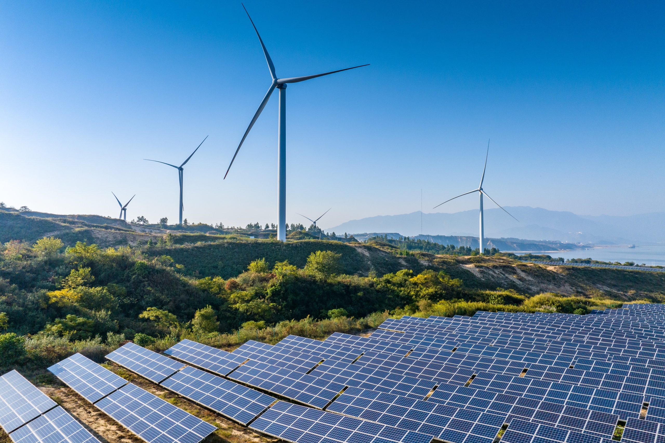 Renewable Energy Developers Get One-Time Exit for Unused Grid Connectivity